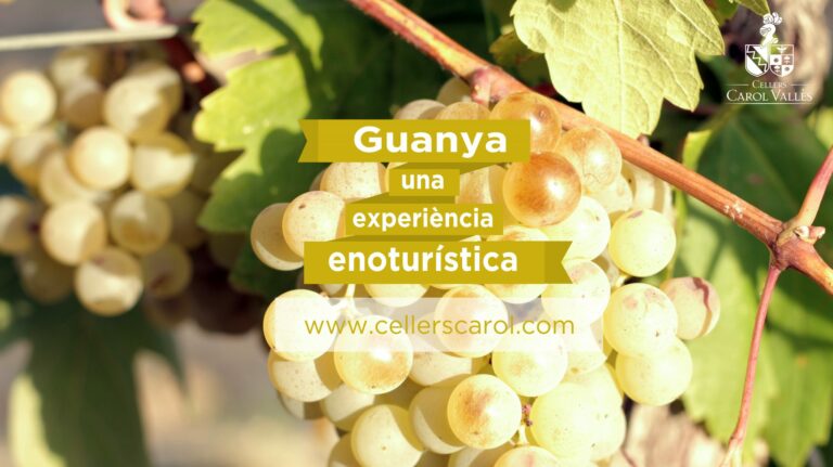 Gana una fantástica experiencia enoturística!