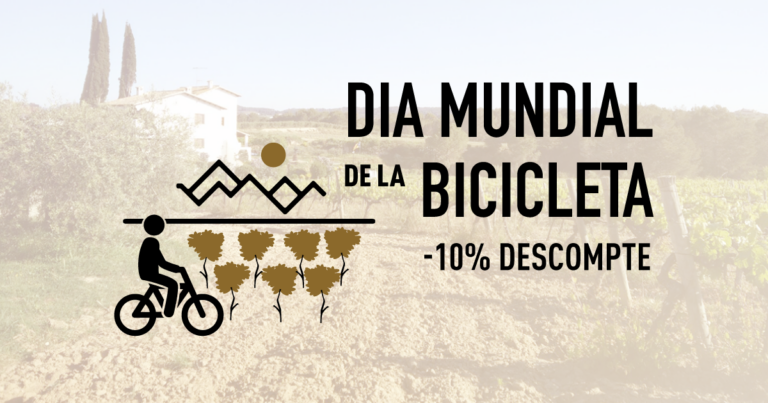 Día Mundial de la Bicicleta – 10% de desuento