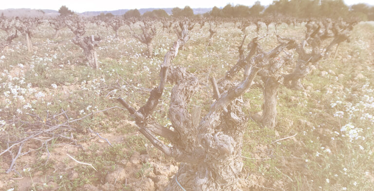 Els tres macabeus: Sogas, Estevet i Isidro
