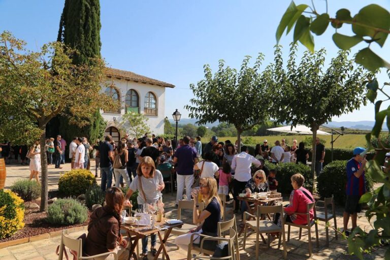 🎇 Per què hauries de venir a les portes obertes de Sant Joan a Carol Vallès?